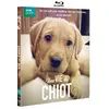 Image de Une vie de chiot Blu-ray