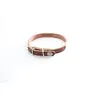 Image de Collier Pour Chien SurpiquÃ© Avec Plaque Martin Sellier 12/33 Cm Mixte Marron