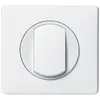 Image de Legrand Poussoir Legrand - Neutre, plaque blanche - Céliane