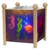 Image de Lanterne Magique Mer - Bois Naturel 12v - Trousselier