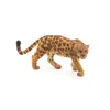 Image de LA VIE SAUVAGE Jaguar