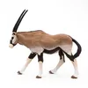 Image de LA VIE SAUVAGE Antilope oryx