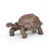 Image de LA VIE SAUVAGE Tortue des GalÃ¡pagos