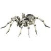 Image de Figurine Papo Tarentule