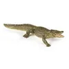 Image de LA VIE SAUVAGE Alligator