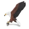Image de La Vie Sauvage Aigle PÃªcheur D'afrique