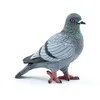 Image de La Vie Sauvage Pigeon