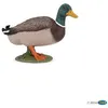Image de Figurine Papo Canard colvert