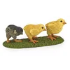 Image de La Vie A La Ferme Poussins