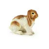 Image de LA VIE A LA FERME Lapin bÃ©lier