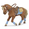 Image de CHEVAUX, POULAINS ET PONEYS Cheval du jeune cavalier