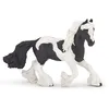 Image de CHEVAUX, POULAINS ET PONEYS Cob