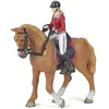 Image de CHEVAUX, POULAINS ET PONEYS Cheval de promenade et sa cavaliÃ¨re