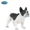 Image de PAPO - Bouledogue français noir et blanc