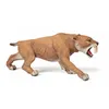 Image de SMILODON