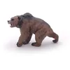 Image de LES DINOSAURES Ours des cavernes