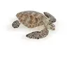 Image de Figurine Papo Tortue de mer caouanne