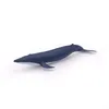 Image de L'UNIVERS MARIN BÃ©bÃ© baleine bleue
