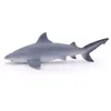 Image de L'UNIVERS MARIN Requin bouledogue