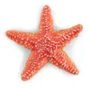 Image de Figurine Papo Etoile de mer Marron