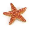 Image de L'univers Marin Etoile De Mer