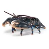 Image de Figurine Papo Homard Marron