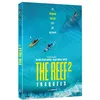 Image de The Reef : Stalked DVD