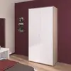 Image de Parisot Armoire de chambre - AALBORG - Blanc / Chêne - 2 portes - 100 x 50,2 x 204,3 cm