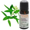 Image de Huile essentielle Bio Verveine Yunnan