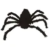 Image de ARAIGNÃE VELUE DÃCORATIVE 160CM NOIR