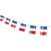 Image de GUIRLANDE 10 PAVILLONS PLASTIQUE DRAPEAU FRANCE 5M