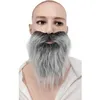 Image de Moustache + barbe raide grise