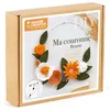 Image de Kit Diy Ma Couronne Fleurie