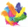 Image de Plumes multicolores assorties 25g 18cm - graine créative