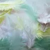Image de Plumes de coq assortiment pastel 20 plumes 7cm - graine créative