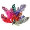 Image de Sachet 10g plumes pintade col. Asst