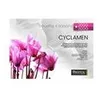 Image de Couette Biotex Cyclamen 260 X 240 Cm