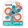 Image de Ludi Hochet Lapin