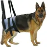Image de Harnais Handi Canis L Chien