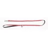 Image de Laisse Pour Chien Etoiles Martin Sellier Xs Mixte Rouge