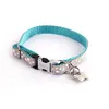 Image de Collier Pour Chien Etoiles Alter Ego Xs Mixte Gris