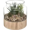 Image de Atmosphera - Terrarium Artificiel Plante Verte Plateau En Bois H 17,5 Cm Transparent