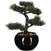 Image de Atmosphera Bonsaï artificiel avec pot - H. 36 cm - Noir