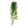Image de lierre pot ciment a suspendre