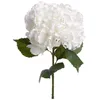 Image de TIGE FLEUR ARTIFICIELLE HORTENSIA BLANC 83CM