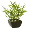 Image de bambou artificiel 35cm dans pot