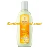 Image de Weleda Avoine Shampooing RÃ©gÃ©nÃ©rant 190ml