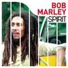 Image de Spirit of bob marley
