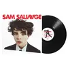 Image de Sam Sauvage