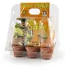 Image de Interseed - 738 - Jeu De Plein Air - Mon Premier Jardin - 6 Pots